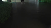 退役不褪色 青春勇担当—公司两名退伍学子雨中暖心护航师生安全